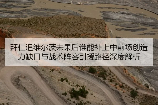拜仁追维尔茨未果后谁能补上中前场创造力缺口与战术阵容引援路径深度解析